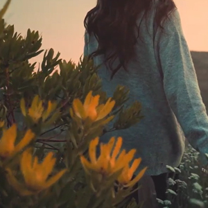 Walk the Road - Ronald Leeuwangh